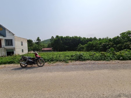 Bán đất nền đầu tư giá rẻ tại Yên Mỹ diện tích lớn, gần khu công nghiệp đường rộng