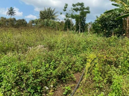 Chính chủ bán nhanh lô đất diện tích 275m2, tại Buôn Mê Thuột giá bán chỉ 560 triệu