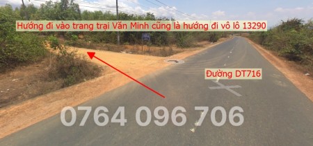 Đi đến slide 7