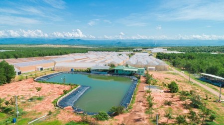 Bán đất cực đẹp giá rẻ gần trang trại 128m mặt tiền đường ô tô ra vào thoải mái, lhcc