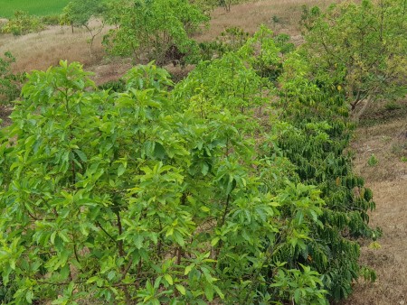Bán đẹp 2 mặt tiền view suối nằm trục chính đi Gia Lai, giá bán 990 triệu/tháng