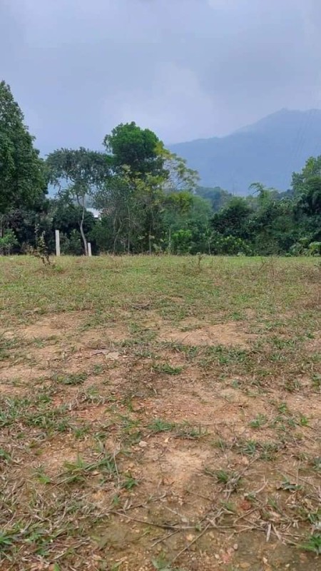 Đi đến slide 10