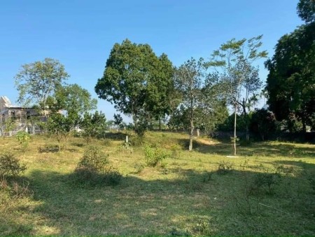Đi đến slide 9