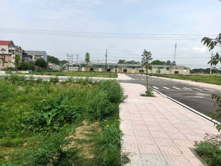 Bán Đất Huyện Quảng Xương Thanh Hoá thổ cư đã có sổ đường lớn, xe ra vào thoải mái