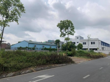 Chính chủ cần bán lô đất làng nghề Kiêu Kỵ, Gia Lâm, 244m cơ hội đầu tư tiềm năng