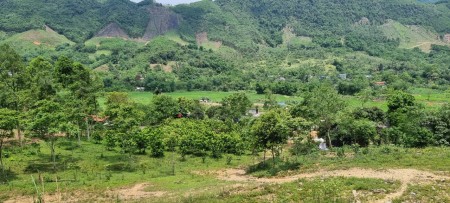 Siêu phẩm tuyệt đẹp thị trấn Đà Bắc cách thành phố 20km liên hệ 0978116550