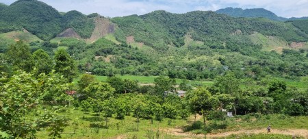 Đi đến slide 7