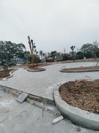 Đi đến slide 7