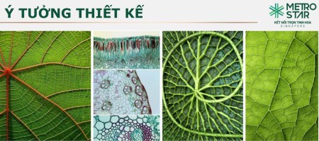Đi đến slide 6