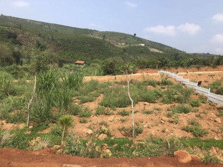 Đi đến slide 7