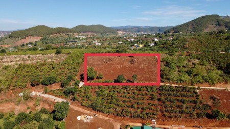 Đi đến slide 7