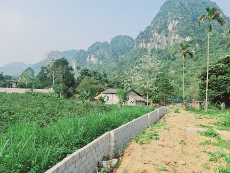 Đi đến slide 11