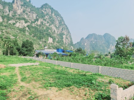 Đi đến slide 8