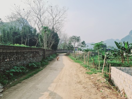 Đi đến slide 5