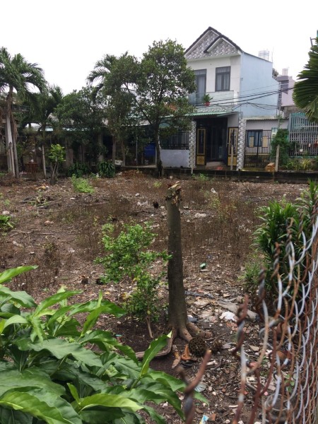 Bán đất chính chủ xã Bà Điểm, Hóc Môn làm việc trực tiếp chính chủ, liên hệ 0766317077