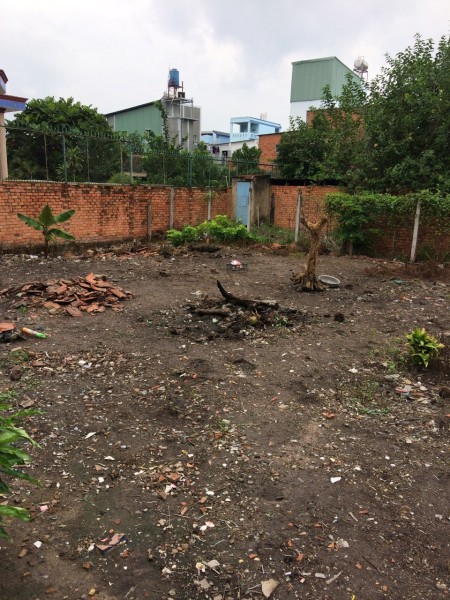 Đi đến slide 7