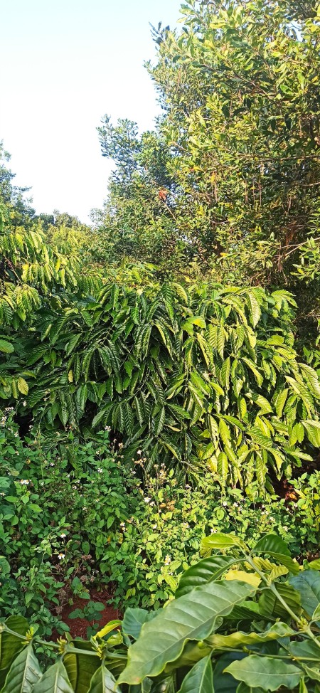 Đi đến slide 11