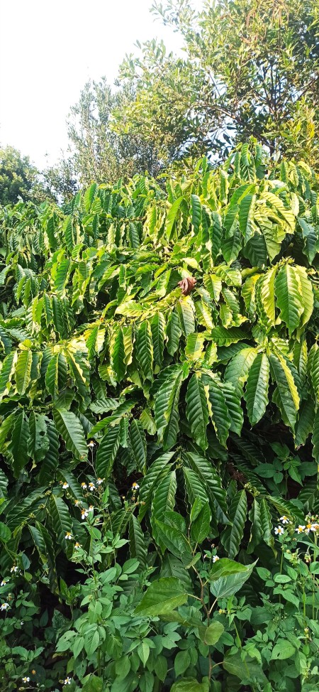 Đi đến slide 15