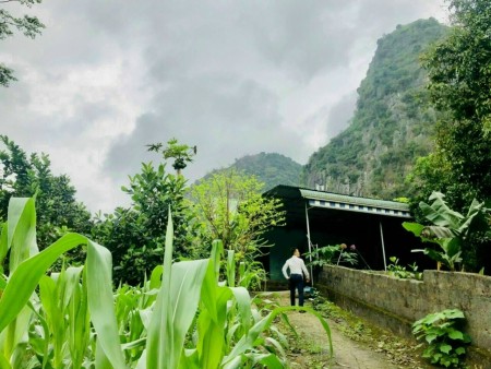 Bán đất view núi tặng nhà và vườn cây ăn trái tại Kim Bôi, Hoà Bình, sổ chính chủ