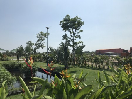 Cơ hội vàng đầu tư đất nền dự án Dragon Pearl tại Đức Hoà Long An, sổ đỏ riêng từng nền