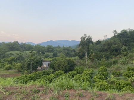Đi đến slide 6