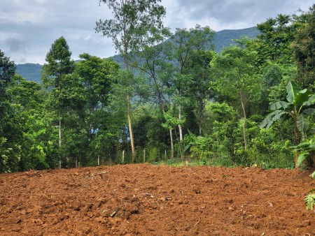 Bán đất trung tâm xã Hợp Phong Cao Phong Hoà Bình, giá đầu tư sinh lời, sổ sẵn
