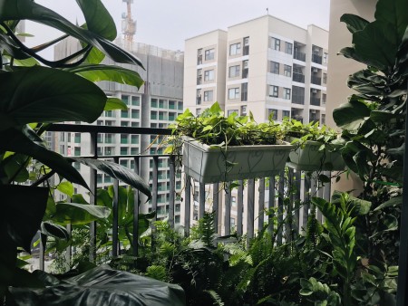 Đi đến slide 3
