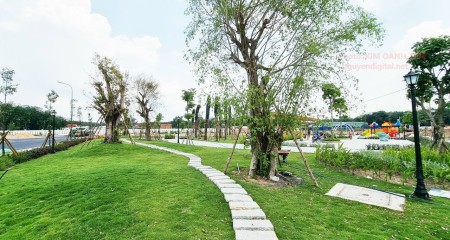 Đi đến slide 8