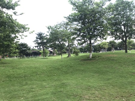 Đi đến slide 3