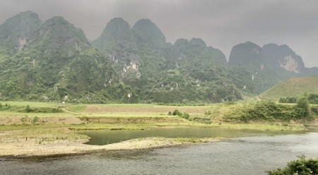 Đi đến slide 5