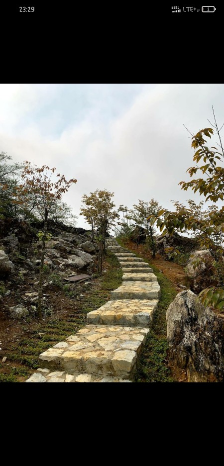 Đi đến slide 2