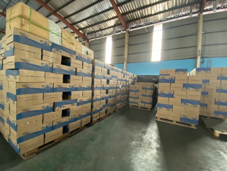 Đi đến slide 2