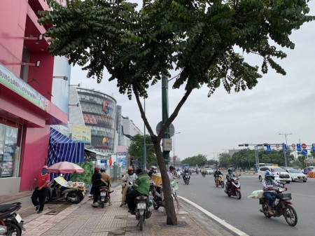 Đi đến slide 10