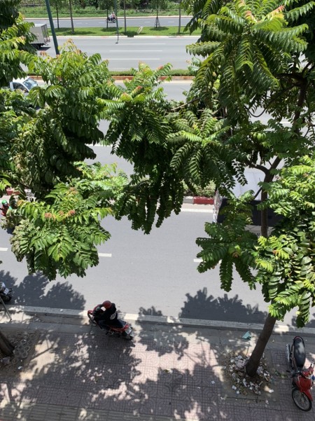 Chính chủ cho thuê nhà nguyên căn MT Phạm Văn Đồng gần Gigamall chỉ 38 tr LH 038.6264.378