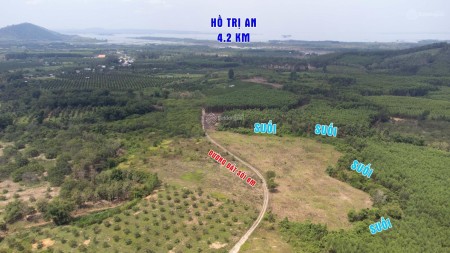 Cần bán gấp 1000m2 (1 sào) view Suối tại Xã Thanh Sơn - Định Quán - Đồng Nai Giá Rẻ