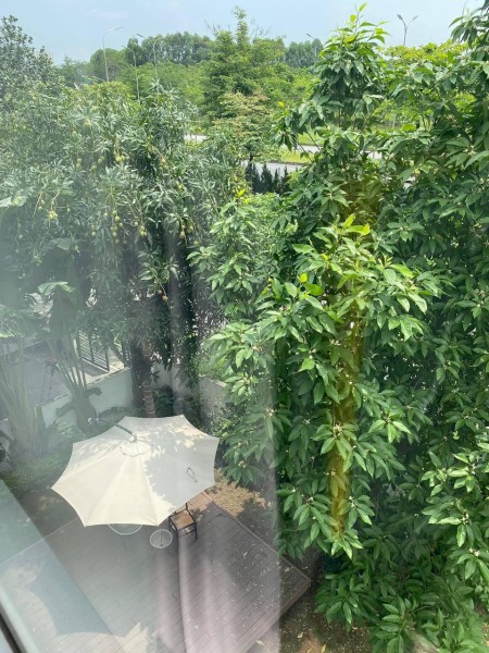 Chuyển nhượng căn góc diện tích sử dụng 328m2 biệt thự Gamuda Gardens