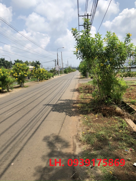 Cần bán gấp lô đất thổ cư thị trấn Trảng Bom đối diện khu công nghiệp cách Quốc Lộ 1K chỉ 500m