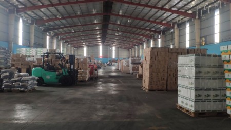 Cho thuê kho bãi và vận tải iện tích 50 –> 3000 m2 khu vực thành phố Hồ Chí Minh