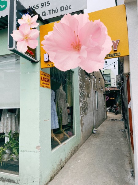 Đi đến slide 4