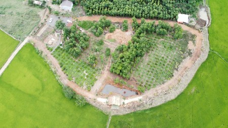 Bán đất view cánh đồng sông Krông Na, giá tốt đầu tư, thuận tiện làm nghỉ dưỡng