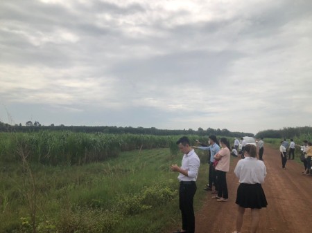Đi đến slide 3