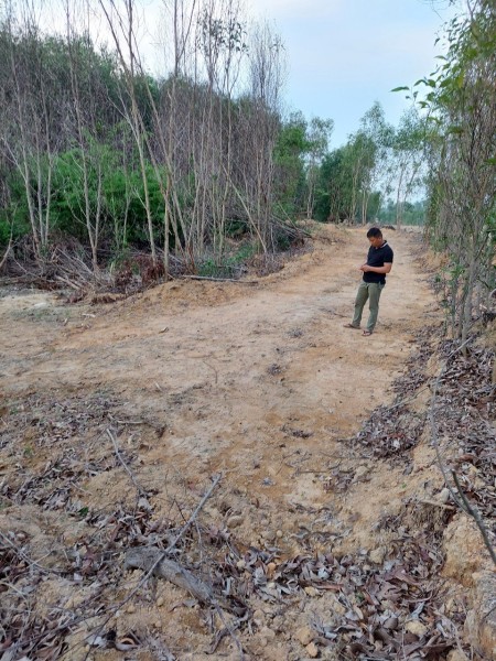 Đi đến slide 5
