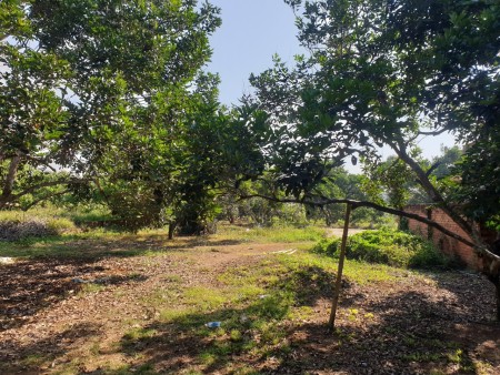 Cần bán đất lớn diện tích 22727,1m2 ở xã sông Nhạn, Cẩm Mỹ Đồng Nai giá đầu tư sinh lời