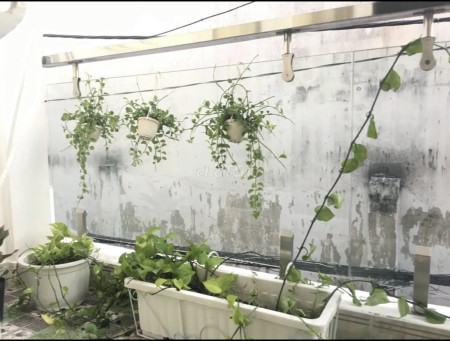 Chính chủ bán gấp giá tốt nhà 2 mặt hẻm tại Phạm Thế Hiển P4 Quận 8, lh 0907336342