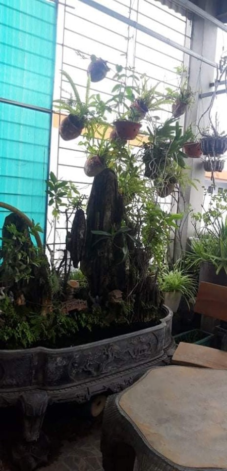 Bán nhà nguyên căn Lạc Long Quân Tây Hồ, dtsd 40m2, 5 tầng đúc, mt 3.5m, giá bán 7.7 tỷ