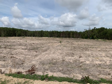Bán 1,1ha có 231m mặt tiền đường Ô tô Thôn 1 gần đường Tân Minh -Sơn Mỹ giá vốn