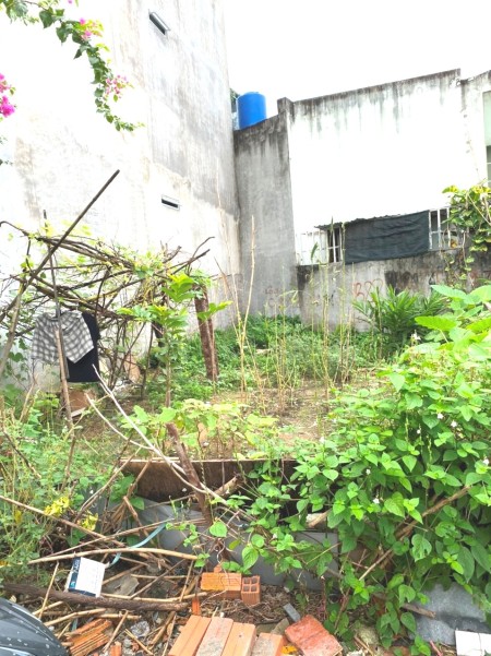Đi đến slide 6