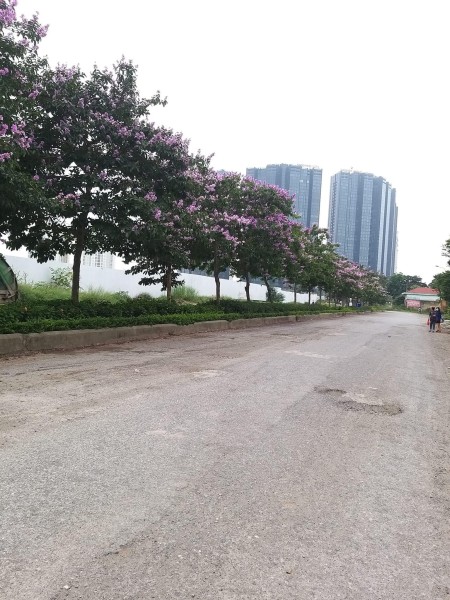 Tây Hồ Phú Thượng Mảnh sổ đỏ vuông văn đẹp ô tô 7 chỗ vào mảnh đất, giá thương lượng