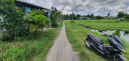 Đất ngang lớn phân lô giá bèo Đức Hòa Long An diện tích 5200m2 giá bán 1,5 triệu/m2