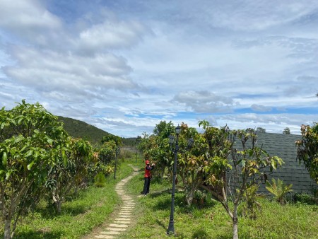 Đi đến slide 8